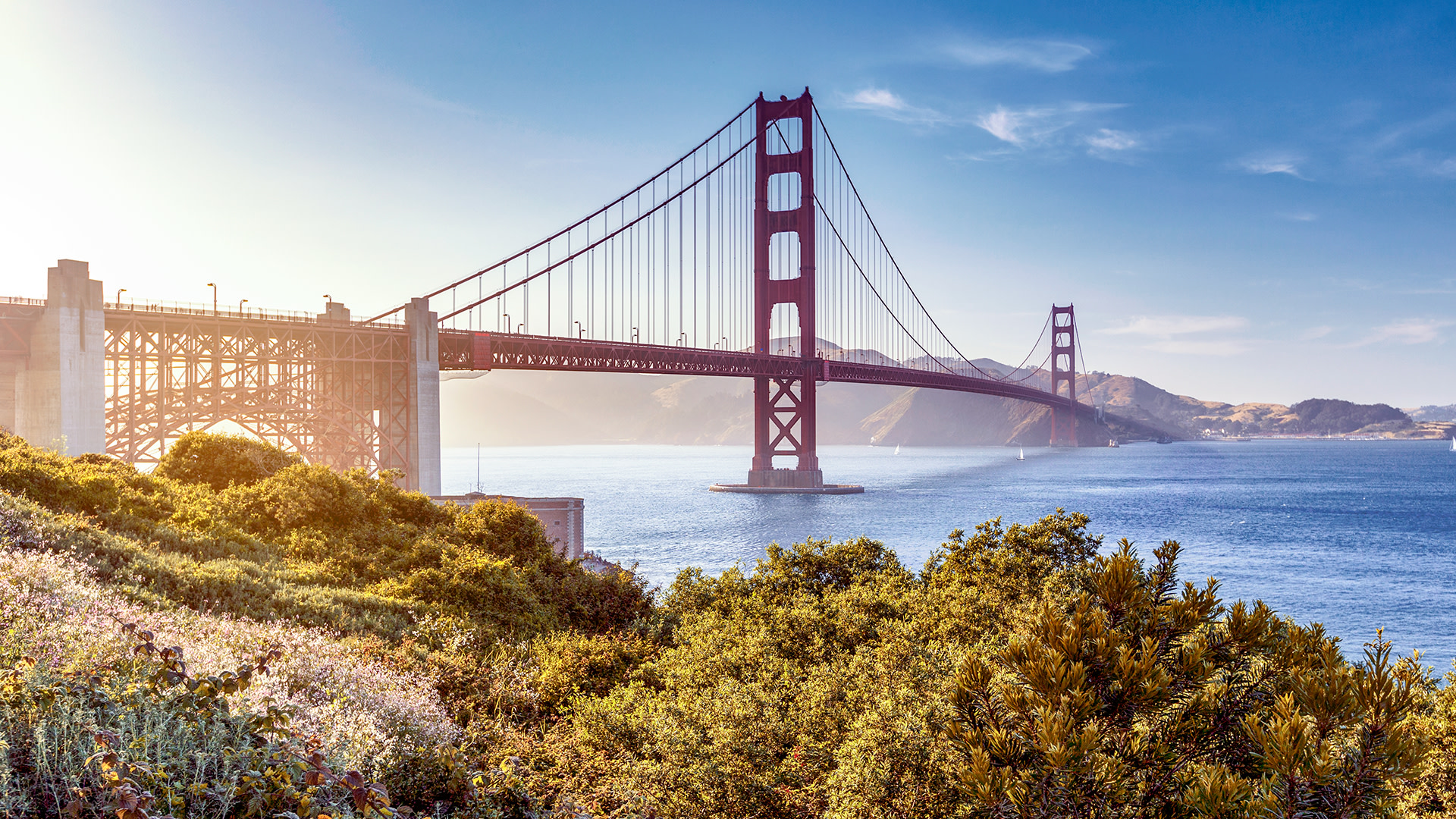 San Francisco city guide 7 days San Francisco city guide